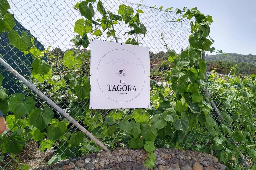 La Tagora Conect With The Nature & Relax Ікод-де-лос-Вінос Екстер'єр фото